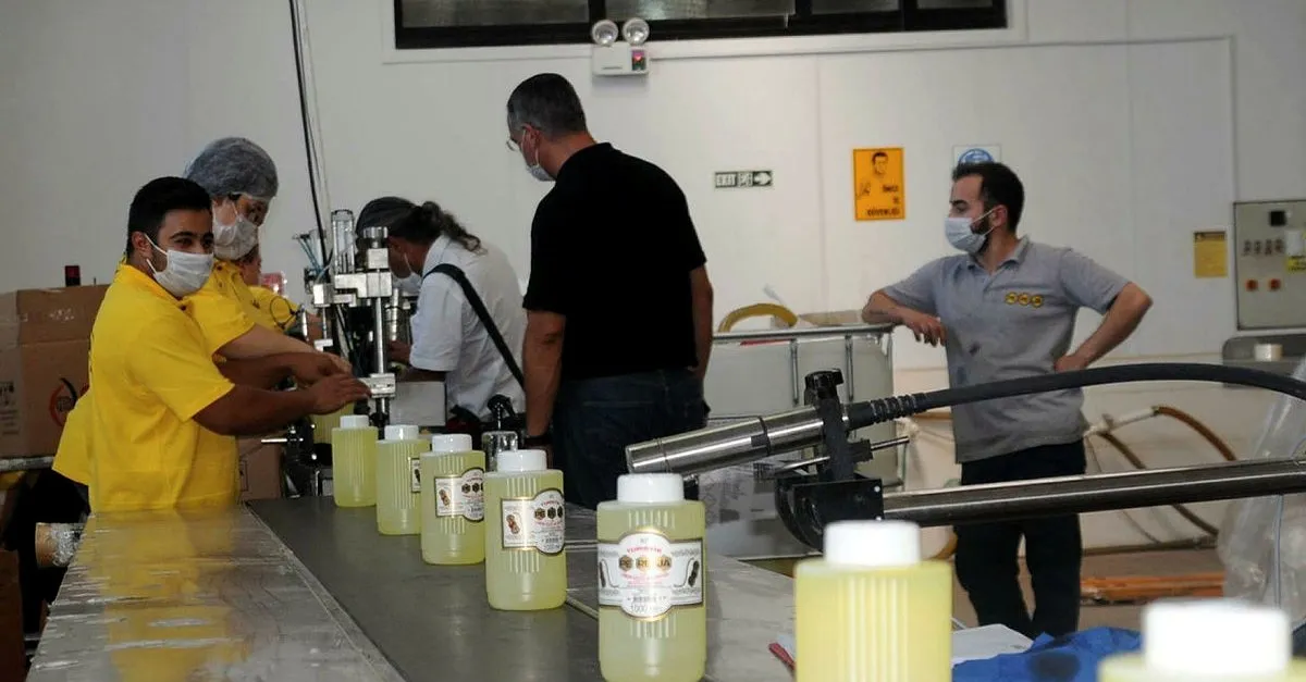 Pandemi sonrası Türk kolonyasında talep patladı