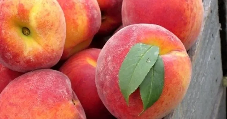 Şeftalinin faydaları nelerdir? Şeftali yemenin faydaları ...