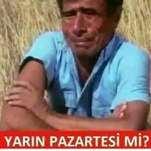 Birbirinden Komik Paylasimlar Son Dakika Haberler