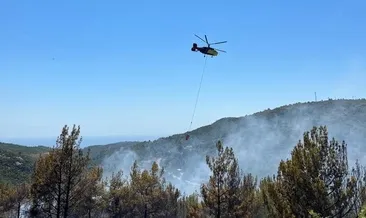 Alanya’da orman yangını çıktı