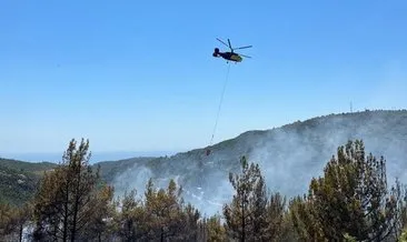 Alanya’da orman yangını çıktı