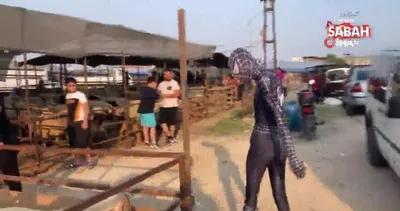 Örümcek Adam kurban pazarında | Video