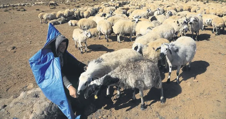 Göçerlerin dönüş yolculuğu başladı
