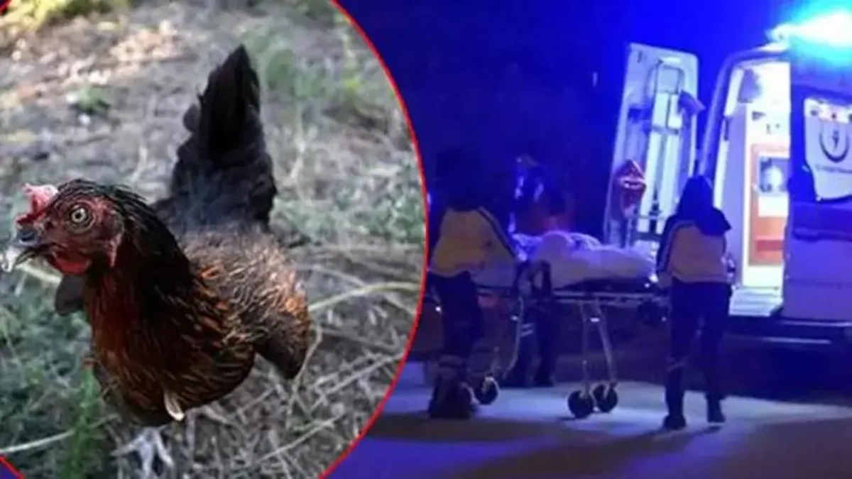 Gümüşhane’de ‘tavuk’ tartışması: 2 ölü, 1 yaralı Gümüşhane’de ‘tavuk’ tartışması: 2 ölü, 1 yaralı