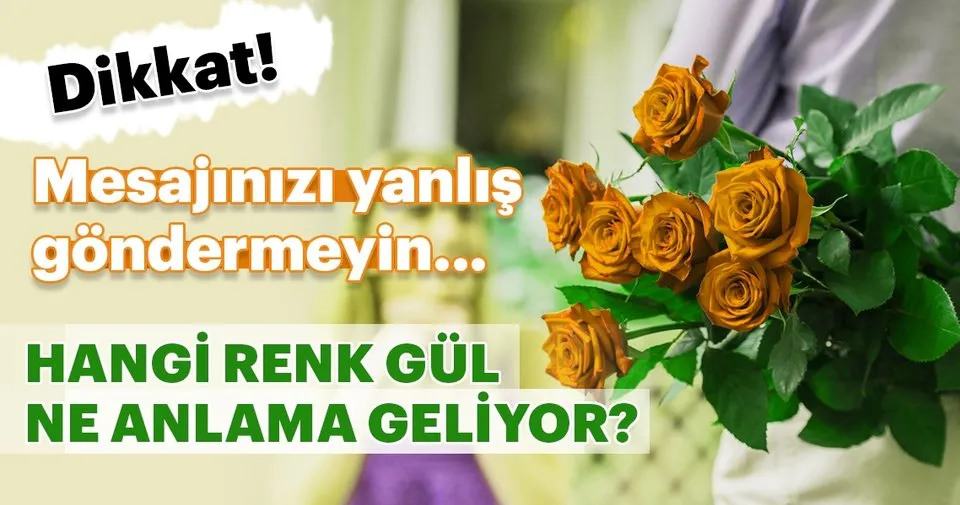Gullerin Renk Anlamlari Nedir Kirmizi Turuncu Mor Sari Beyaz Pembe Gu Fall In Flover