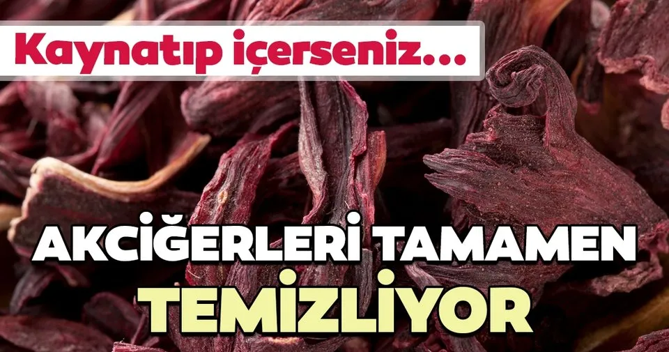 Hibiskus Cayi Faydalari Nelerdir Hibiskus Cayi Nasil Demlenir Iste Hibiskus Cayi Faydalari Saglik Haberleri