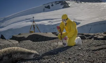 Antarktika’dan kritik veriler: Sürdürülebilir tarım ve sağlıkta umut!