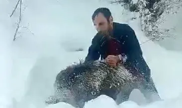 Görüntüler Sinop'ta kaydedilmişti: Karlı yolda domuzu elleriyle yakaladı! Kimseye tavsiye etmem #sinop