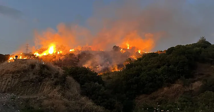 Manisa’daki yangının nedeni belli oldu! Dikkat çeken ’Kene! detayı...