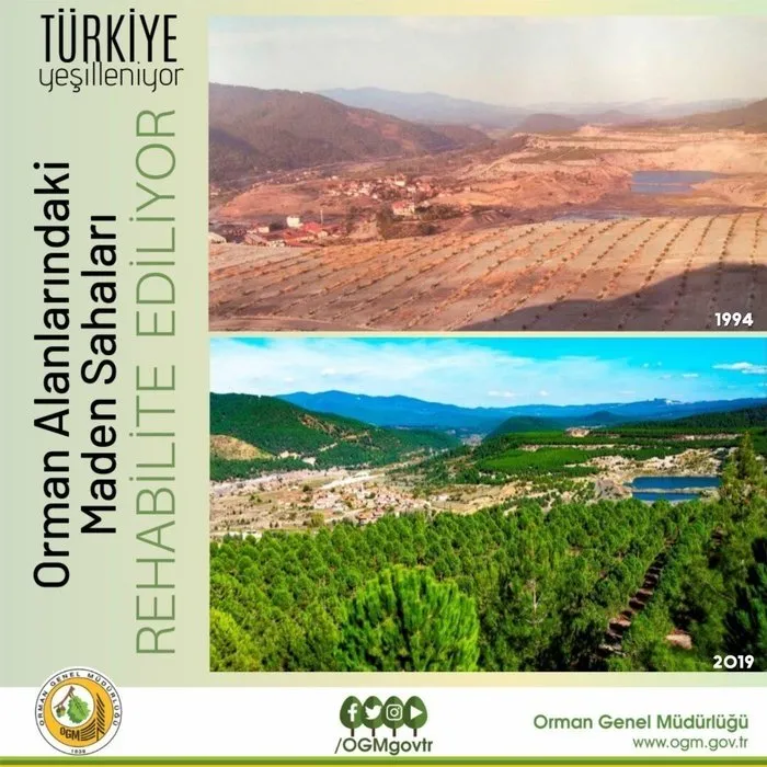 Akbelen provokatörlerine soğuk duş! BM raporu Türkiye’nin orman gerçeğini ortaya çıkardı!