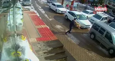 Bitlis’te kendisine saldıran köpeği yumrukla durduran vatandaş kamerada | Video