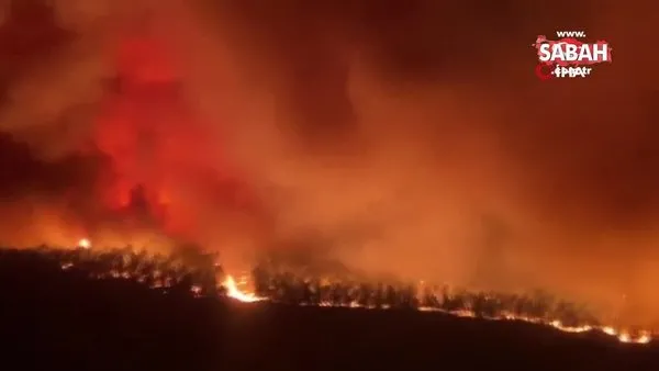 Fransa’nın güneybatısında orman yangını: 6 bin hektar alan kül oldu | Video