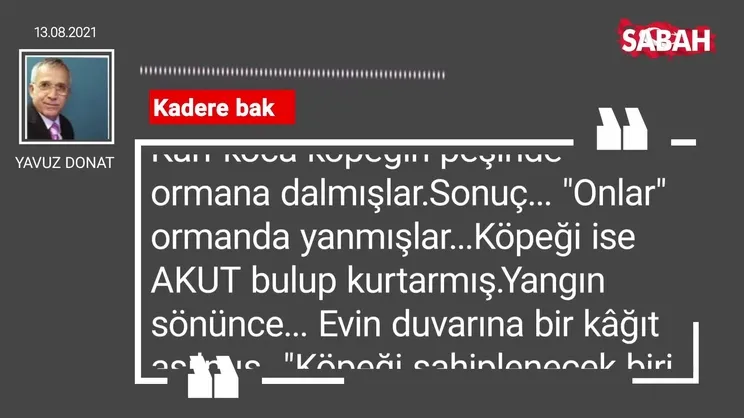 Yavuz Donat | Kadere bak