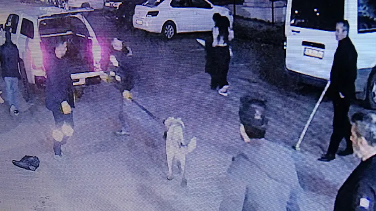 Diyarbakır’da bir sitede köpek dehşeti: 3 kişi yaralandı!