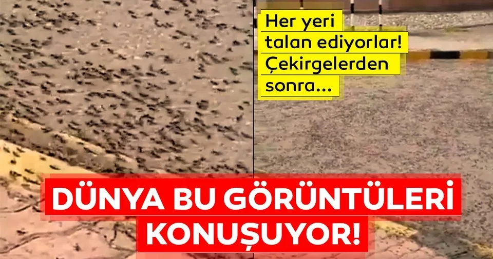 dunya bu son dakika haberi ile