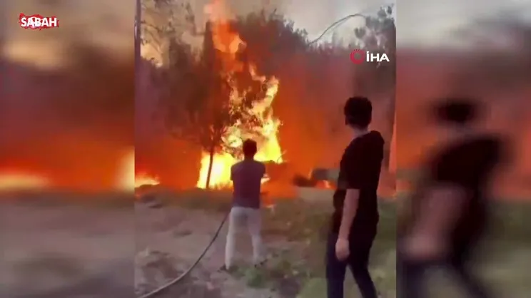 Şanlıurfa'da yangın paniği! | Video