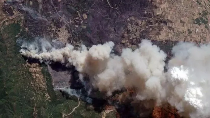 Yunan spikerden insanlık dışı sözler! Yangında ölen göçmenler için bunları söyledi, ortalık ayağa kalktı