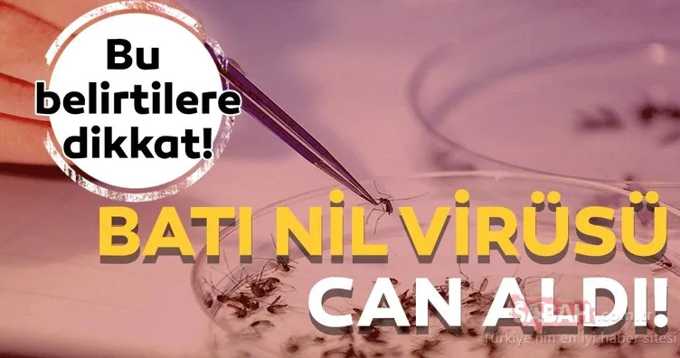 Son dakika haber: KKTC’de Batı Nil Virüsü can aldı!