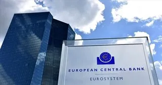 ECB: Ani şoklar, hanehalkı ve şirketleri zor durumda bırakabilir