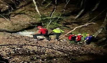 Bursa’da yaşlı adamın acı sonu! Odun toplamak için gitti cansız bedeni bulundu