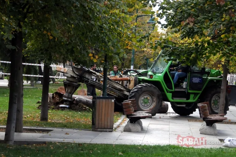 Gülhane Parkı’ndaki ve Gezi Parkı’ndaki ağaçları neden ölüme terk ettiniz | Melih Altınok yazdı