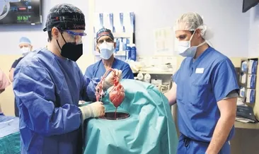 Domuz kalbi insana nakledildi