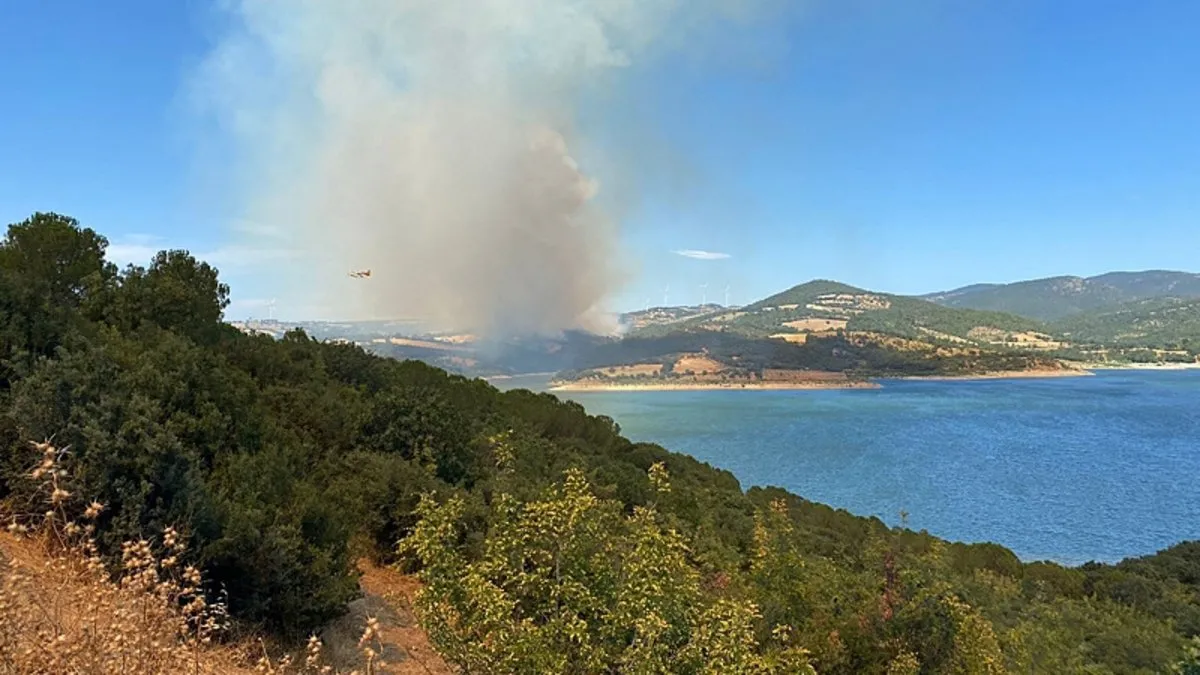 Çanakkale'de ormanlık alanda yangın çıktı! Ekiplerin müdahalesi sürüyor