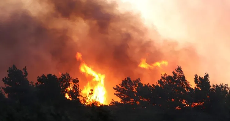 Soma orman yangını 2 gündür sürüyor