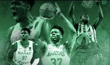 Kostas Antetokounmpo, Panathinaikos’ta!