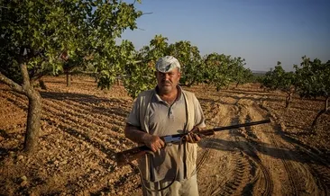 Gaziantep’te ’Yeşil altın’ nöbeti! Kuş uçurtmuyorlar...