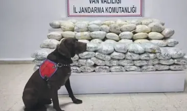 29 ilde uyuşturucu operasyonu