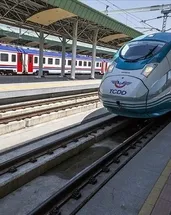 TCDD tren yollarında ilaçlama yapacak