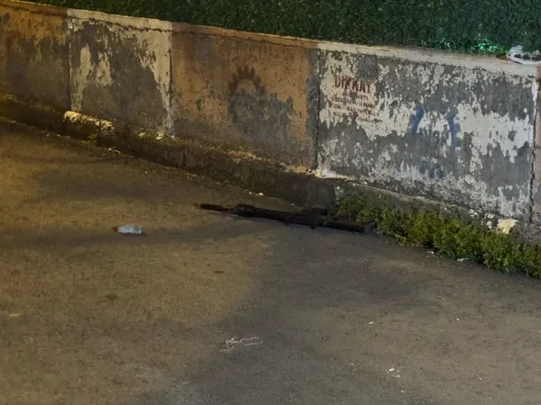 kuzenler-arasinda-silahli-kavga-1i-polis-8-kisi-yaralandi-1744141361016.jpg