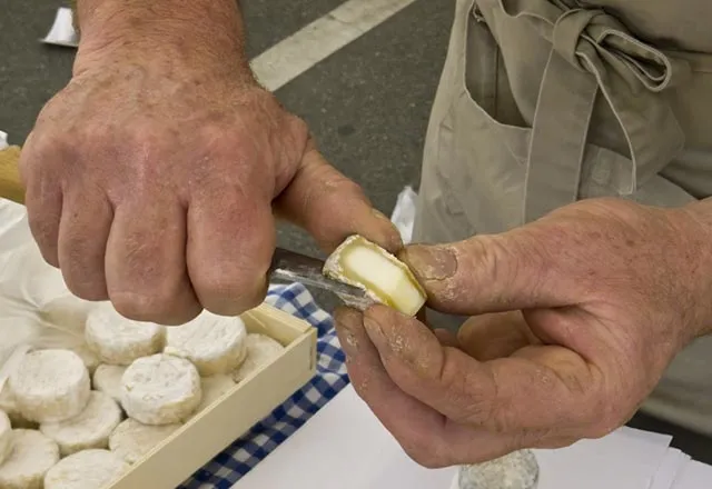 Peynir kanser hücrelerini öldürüyor mu?