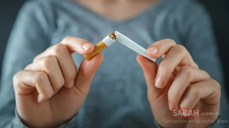 2009’dan sonra doğanlara ömür boyu sigara yasağı! ’Sigarasız jenerasyon’ yasa tasarısı onaylandı