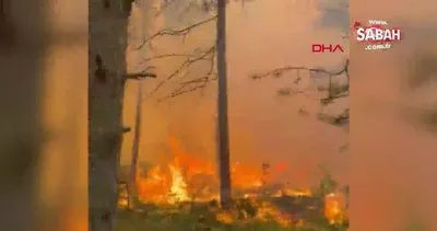 Tokat’taki orman yangını kontrol altına alındı | Video