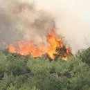 Büyük Samsun yangını meydana geldi