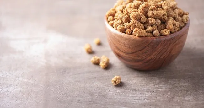 Dut Kurusu Faydaları – Dut Kurusunun Faydaları Nelerdir, Ne İşe Yarar ve Hangi Hastalıklara İyi Gelir?