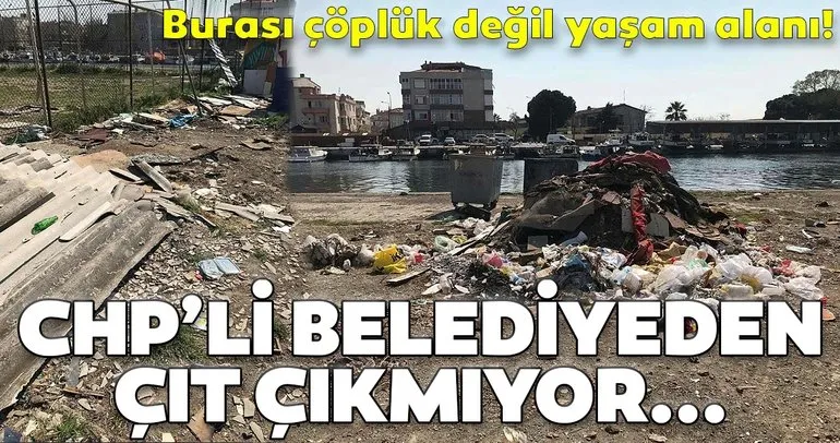Son dakika: Çanakkale çöplüğe döndü! CHP’li belediyeden çıt çıkmıyor...