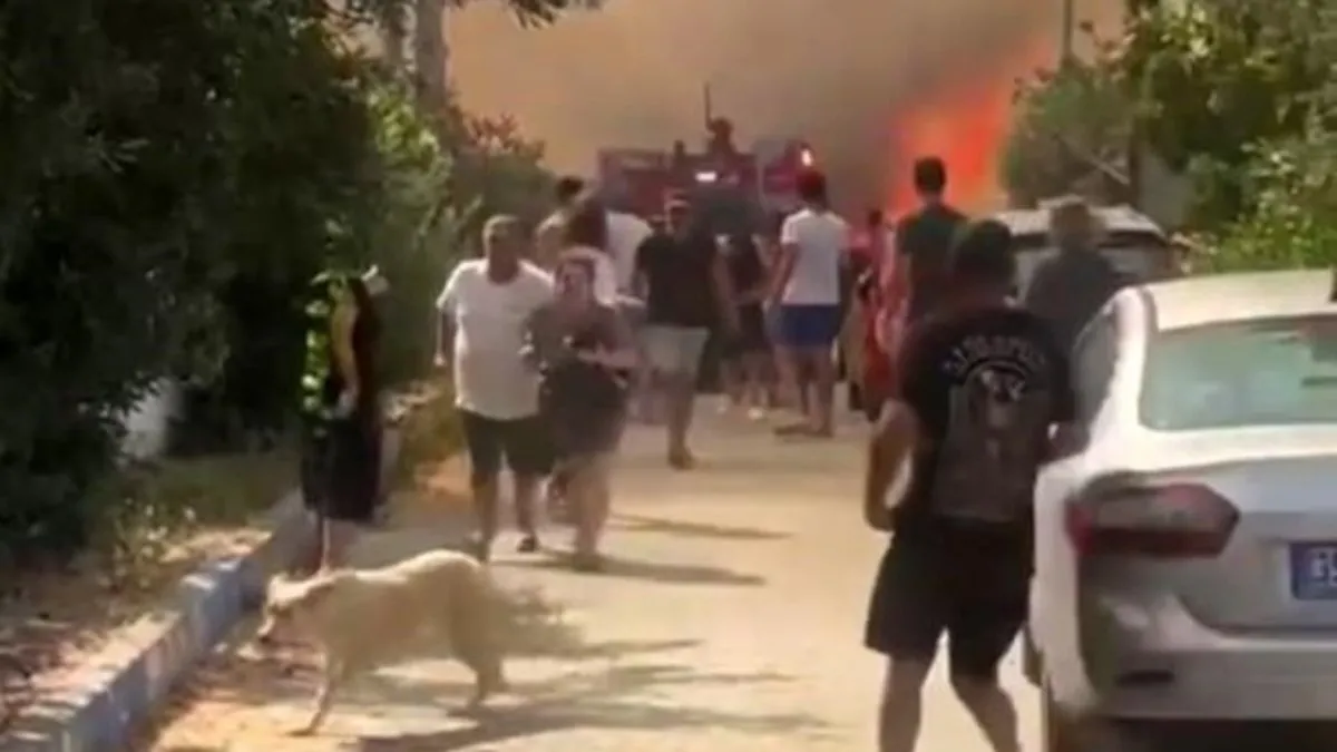 İzmir Foça'da orman yangını! Ekiplerin havadan ve karadan müdahalesi sürüyor