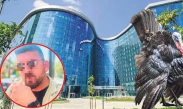 SON DAKİKA | Ankara'da 50 milyonluk dev vurgun! 'Çiftlik Bank'tan sonra şimdi de 'Hindi çiftliği' #ankara