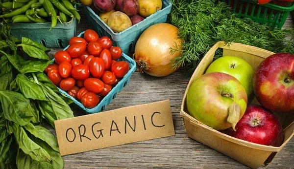 organik-gida-daha-mi-besleyici-1784906217580.jpeg