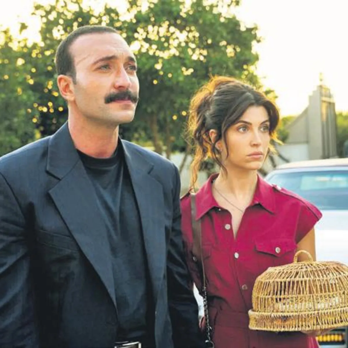 Dizi