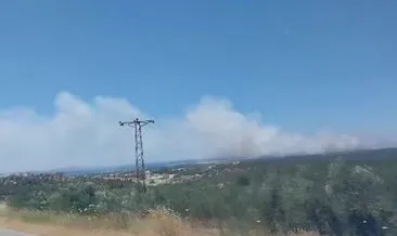 Ezine'de orman yangını! Ekipler alevlere müdahale ediyor #canakkale