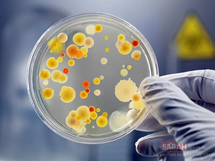 14 günlük mikrobiyom kürüyle bağırsaklarınızı temizleyin!