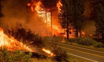 ABD’de orman yangınları sürüyor: Binlerce kişi tahliye edildi