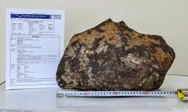 Van’da bulunan göktaşı ’Doğuzağaç’ adıyla Uluslararası Meteorit Veri Bülteni’ne işlendi