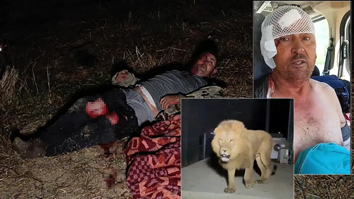 SON DAKİKA... Antalya’da saldırdığı çiftçi Süleyman Kır'a kabusu yaşatmıştı: Aslan Zeus’un sahibi konuştu!