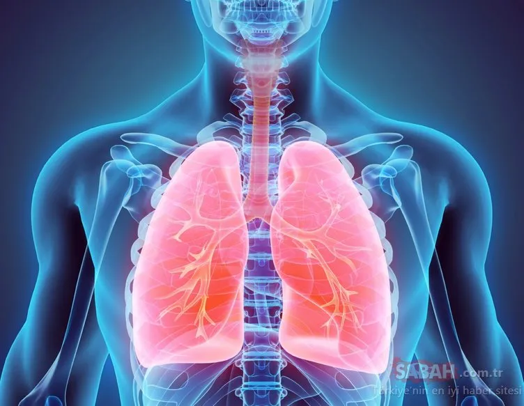 Akciğer sertleşmesi kanserden daha tehlikeli…