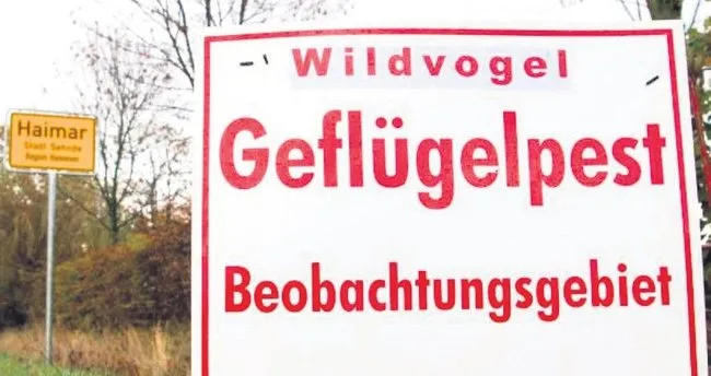 Nrw De Kus Gribi Panigi Avrupa Haberleri